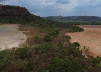 amazonia-e-pantanal-batem-recorde-de-calor-em-2024