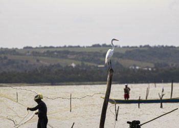 gestao-do-seguro-defeso-passa-oficialmente-ao-ministerio-do-trabalho