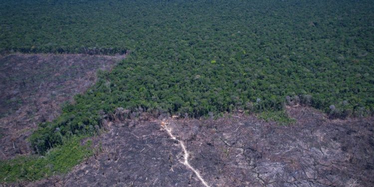 brasil-pode-antecipar-para-2040-a-neutralidade-de-emissoes-de-co2