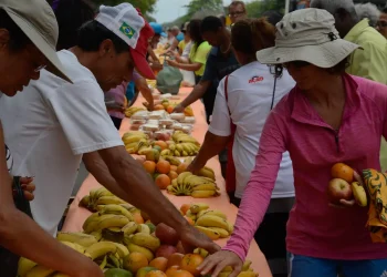 acao-da-cidadania-lanca-natal-sem-fome-2025