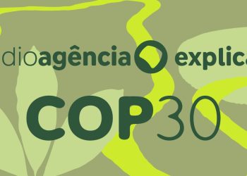 pais-eleva-compromisso-climatico-e-lanca-fundo-para-proteger-florestas