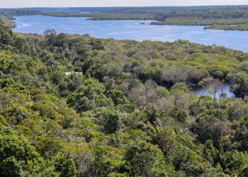 plano-para-biodiversidade-preve-criacao-de-unidades-de-conservacao
