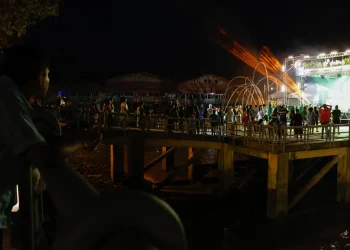 festival-psica-celebra-o-retorno-da-dourada-em-belem,-capital-do-para