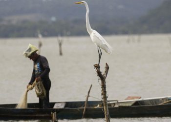 seguro-defeso:-pescadores-devem-apresentar-documentos-ate-dia-31