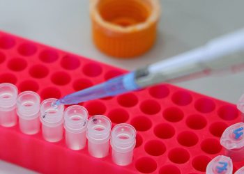 oms-aponta-que-estudo-do-genoma-se-concentra-em-paises-de-alta-renda