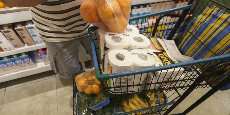 em-dezembro-a-cesta-basica-ficou-mais-cara-em-17-capitais-brasileiras