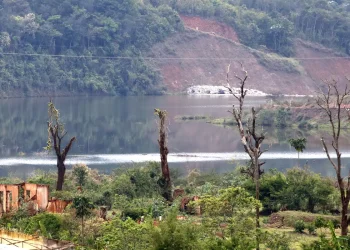 fundao:-bndes-libera-mais-de-r$-15-milhoes-para-o-prodoce