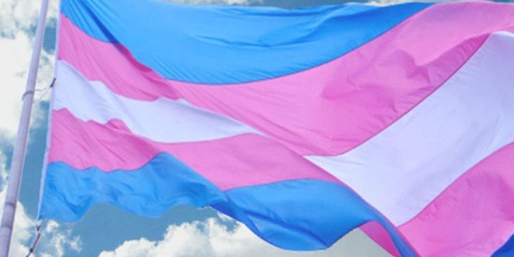 brasil-lidera-ranking-de-assassinatos-de-pessoas-trans,-diz-ong