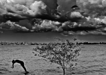 producao-fotografica-das-mulheres-do-para-e-tema-de-exposicao-no-rio