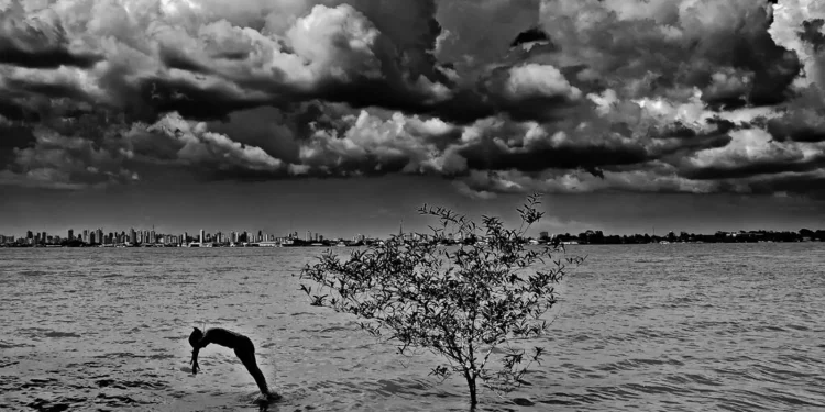 producao-fotografica-das-mulheres-do-para-e-tema-de-exposicao-no-rio