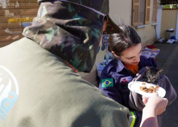 sancionada-lei-que-obriga-manejo-de-animais-em-desastres-naturais