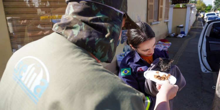 sancionada-lei-que-obriga-manejo-de-animais-em-desastres-naturais
