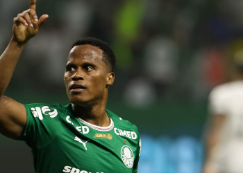 palmeiras-derrota-botafogo-e-assume-lideranca-do-campeonato-brasileiro