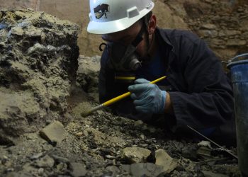 mais-de-500-pecas-arqueologicas-sao-encontradas-em-obra-em-maceio