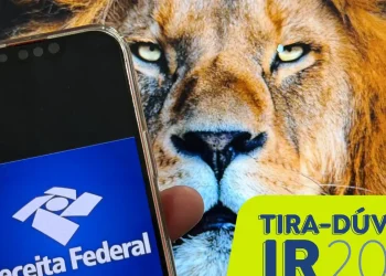 confira-as-formas-de-realizar-e-enviar-a-declaracao-do-irpf