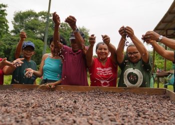 no-amazonas,-associacao-de-mulheres-produz-chocolate-organico