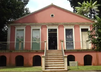 museu-paraense-abriga-uma-das-maiores-colecoes-de-mamiferos-do-mundo