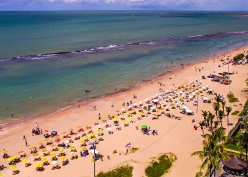 pernambuco-volta-a-monitorar-tubaroes-na-orla-apos-10-anos