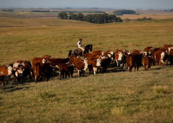 uniao-europeia-restringe-importacao-de-carnes,-peixe-e-mel-do-brasil