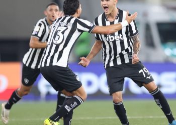 ainda-em-meio-a-copa,-brasileirao-volta-com-duas-partidas