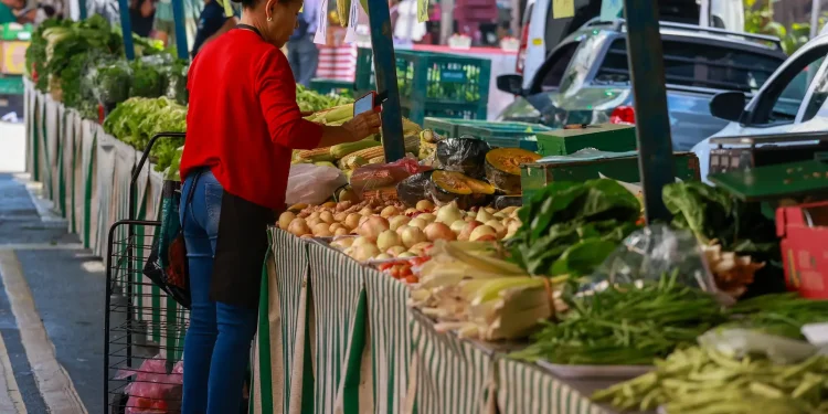 guia-alimentar-completa-20-anos-de-incentivo-a-comida-de-verdade