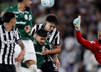 botafogo-segura-palmeiras-e-ajuda-flamengo,-novo-lider-do-brasileirao