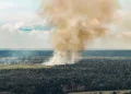 amazonas:-governo-federal-envia-aeronaves-e-reforca-combate-ao-fogo