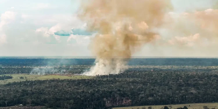 amazonas:-governo-federal-envia-aeronaves-e-reforca-combate-ao-fogo